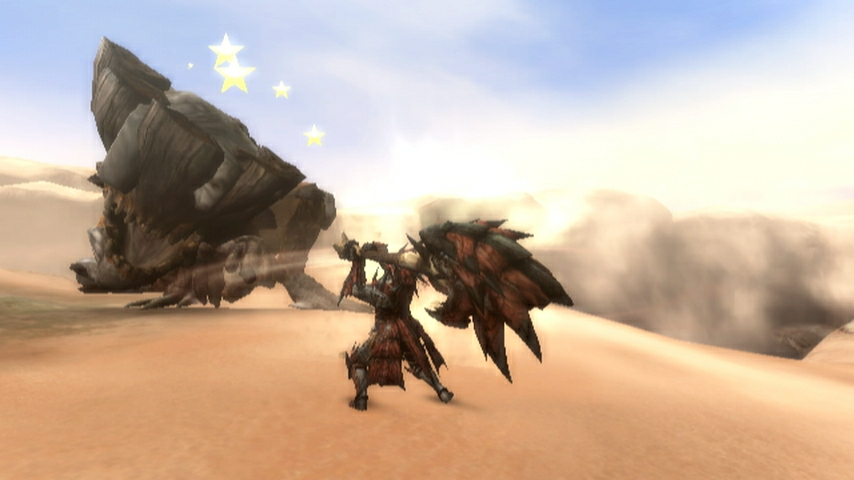 Monster Hunter Tri (3)